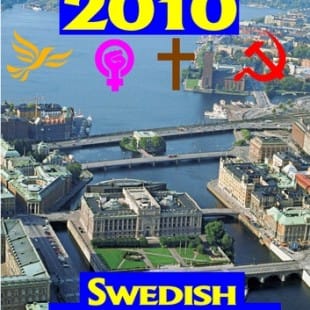 2010 Swedish Parliament