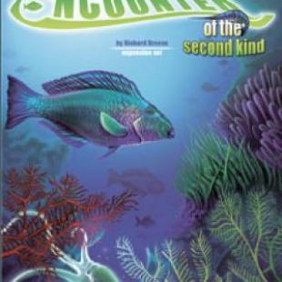 Reef encounter of the second kind