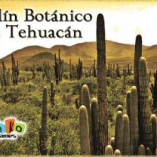Jardín botánico de Tehuacán
