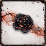 black-rose-wars-box-art