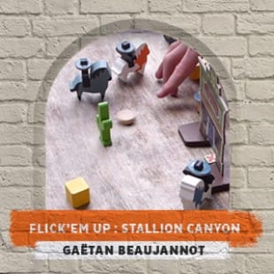 Orléans joue 2015 – Flick’em up : stallion canyon – Gaëtan Beaujannot