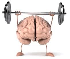 cerveau-muscle