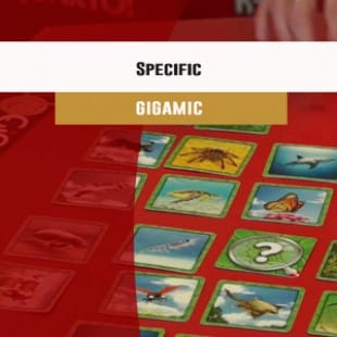 Cannes 2016 – jeu Specific – Gigamic – VF