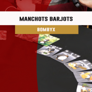 Cannes 2016 – jeu – Manchots barjots – Bombyx – VF