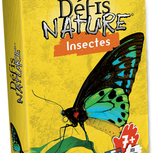 Défis Nature Insectes