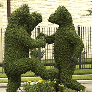 Topiary – Quand les jardiniers se font des coups bas