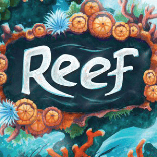 Reef, le tuba de l’été