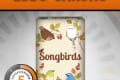 LUDOCHRONO – Songbirds