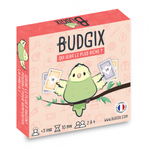 Budgix