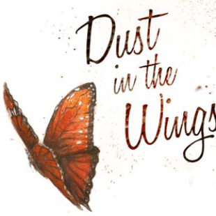Dust In The Wings les papillons se posent bientôt en France