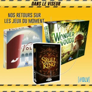 [#DLV] LES JEUX DU MOMENT : Skull King + Volto + Wonder Woods