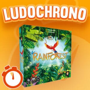 LUDOCHRONO – Rainforest