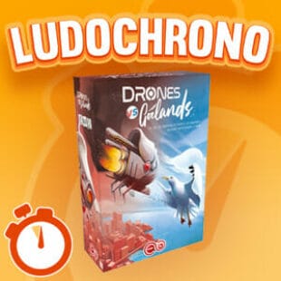 LUDOCHRONO – Drones Vs. Goélands