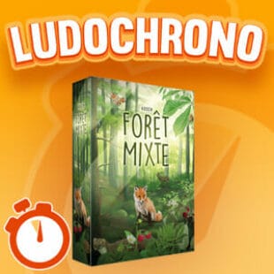 LUDOCHRONO – Forêt Mixte