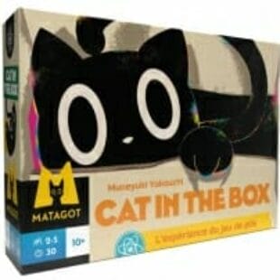 Cat in the box : ouvrez la boîte !