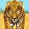 Wild: Serengeti – Virée dans une nature foisonnante