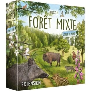 Forêt Mixte – Lisière de forêt